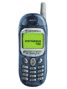 Best available price of Motorola T190 in Somalia